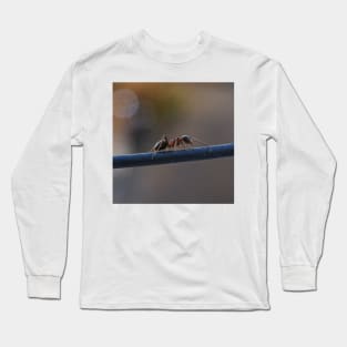 macro ants Long Sleeve T-Shirt